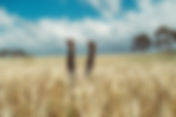 Why Should Farmers Lead Their Own Biodiversity Monitoring?