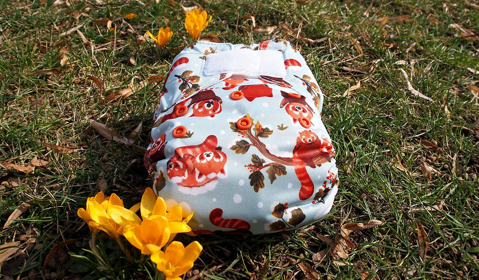 Image by Šárka Hyková