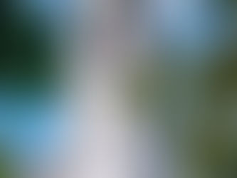 Hillcrest Real Estate in Boise: Mid-Century Modern Homes on the Boise Bench