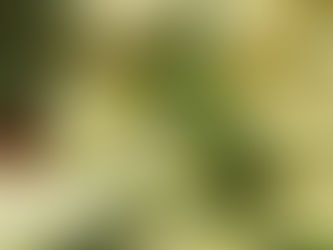 Stuffed Turkey Burgers & Grilled Zucchini