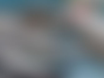 এখন বজাৰ, এজোপা বৰগছ আৰু দেহমন