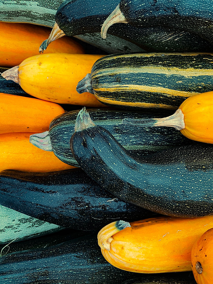 courgettes zuchinni