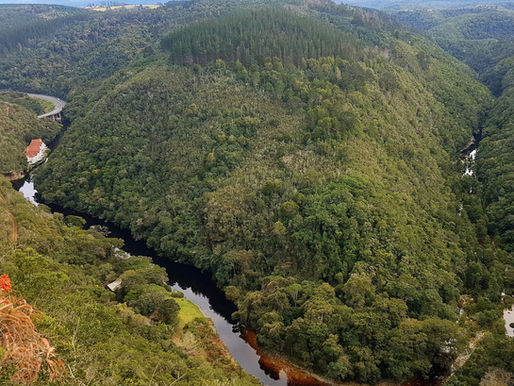 Hidden Gems of the Garden Route: Glamping at Map of Africa in Wilderness for South Africa's 2025 Summer Holidays