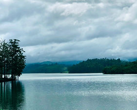 Image by Isravel Raj