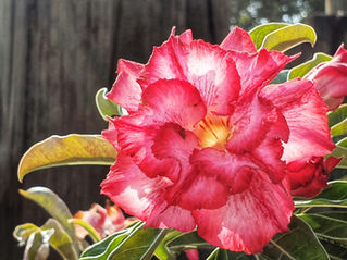 Embracing Change for Personal Growth