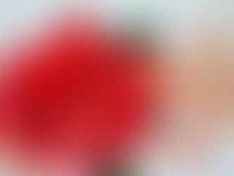 Poinsettia Care: How to Make Poinsettias Last Through the Holidays