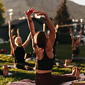 Image by Marea Wellness