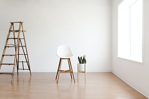 MN Evolution Cleaning Services