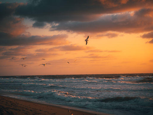 Parable of the Sea