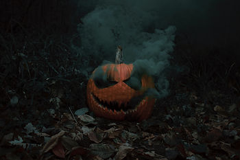 Image by Daniel Lincoln