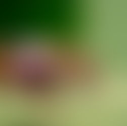 Why the Wellness Retreat Ruined Women's Travel