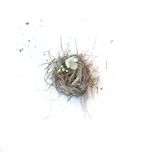 Image by Jurate Cesnaite