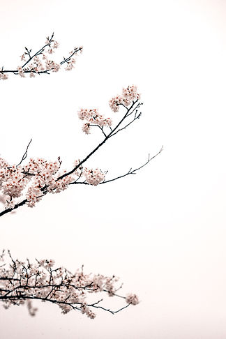 Image by zero take