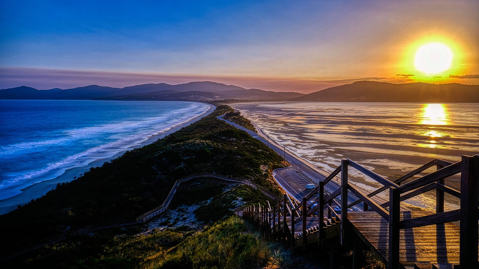 Image by Sean Robertson