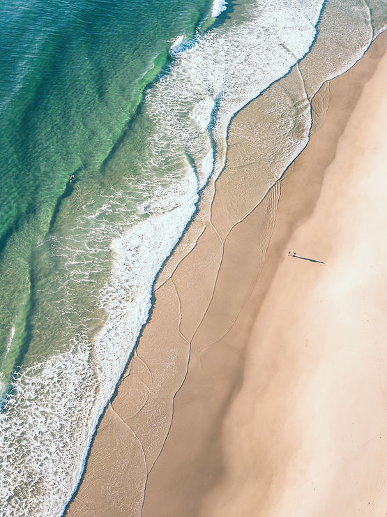Image by Jesse Hammer