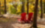 Image by Kiya Golara