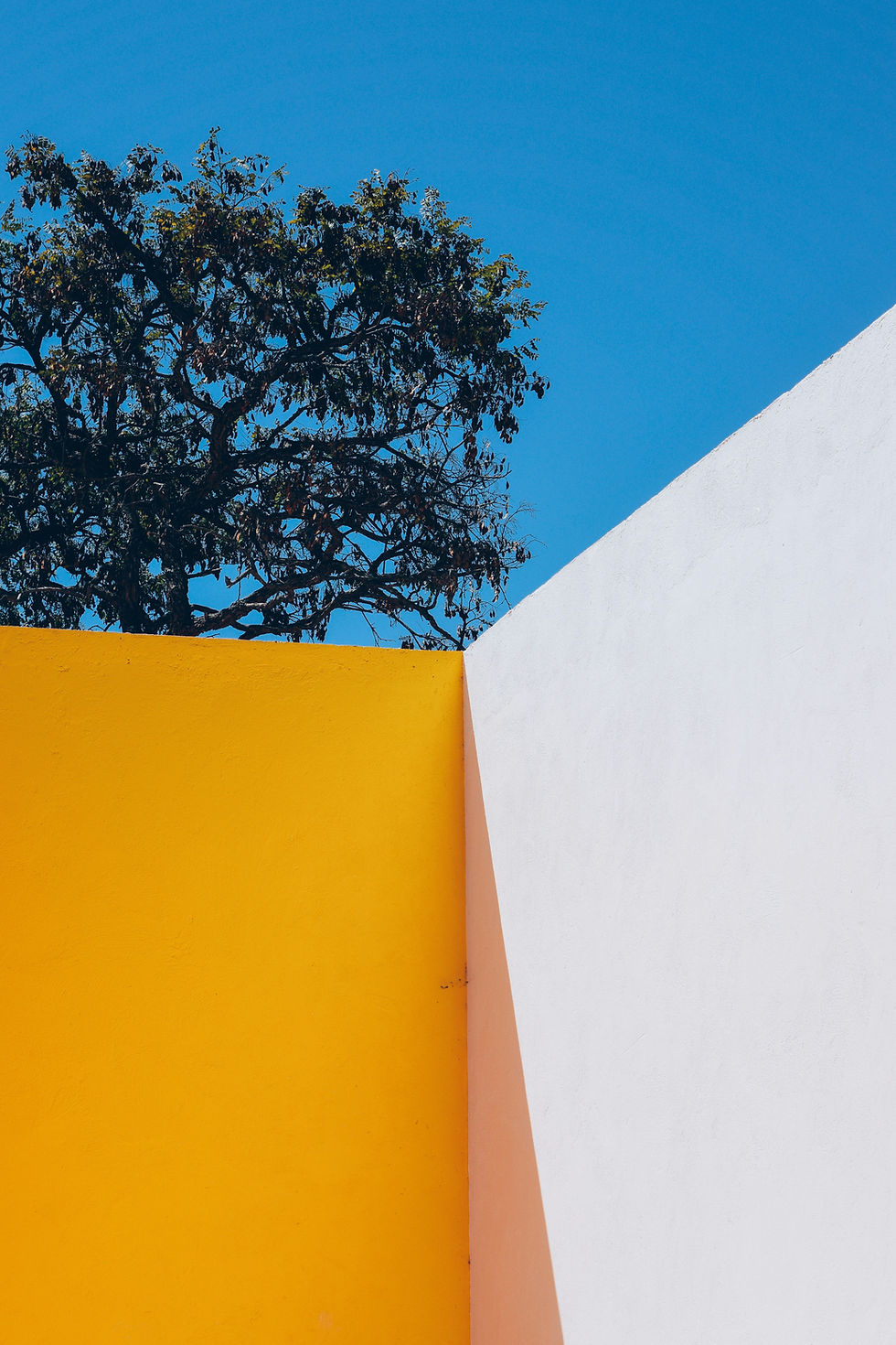 Image by Mario Gogh