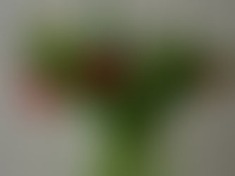 Jak przedłużyć świeżość kwiatów w wazonie? Kilka prostych wskazówek