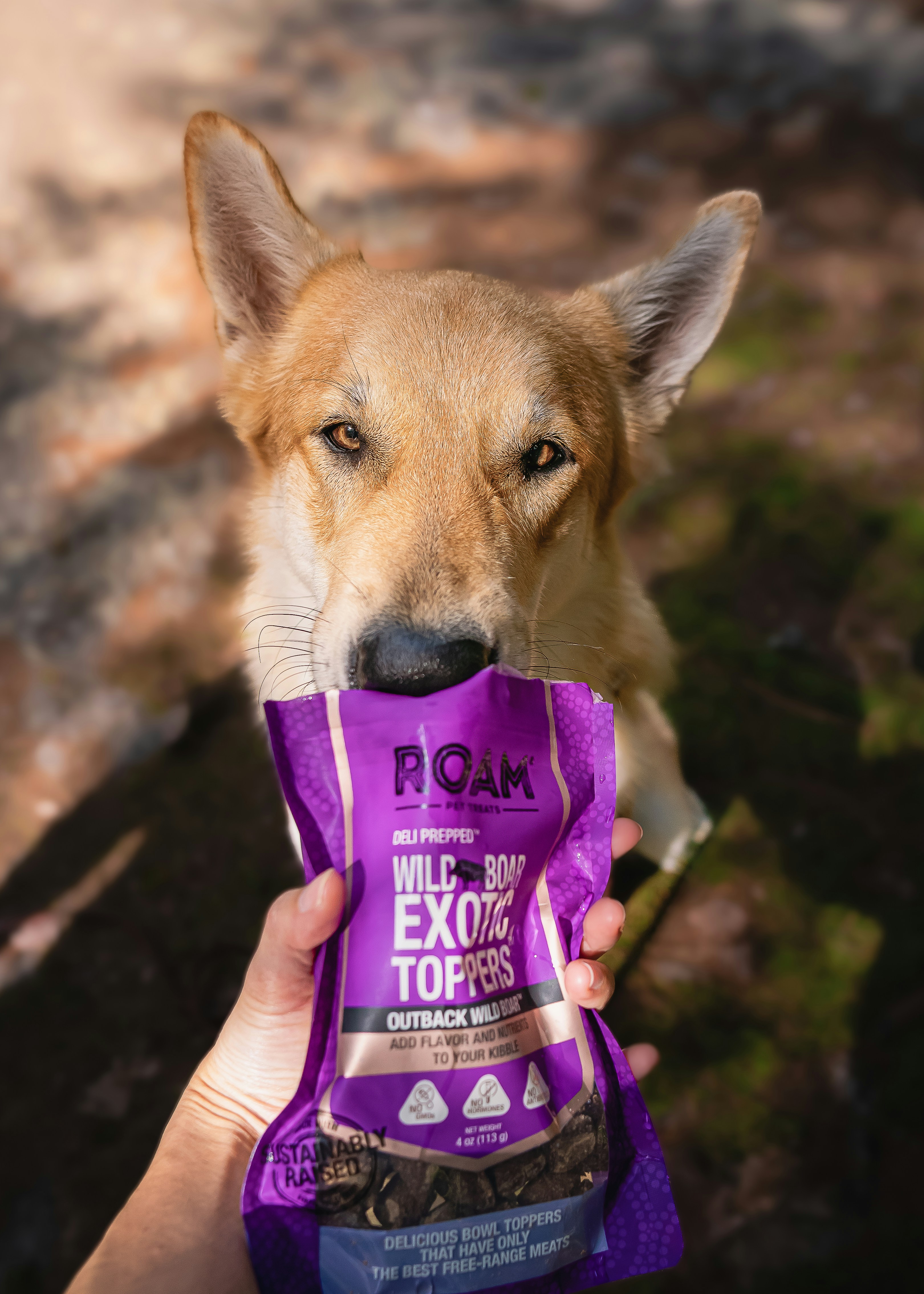 Image by Dogfluence.com