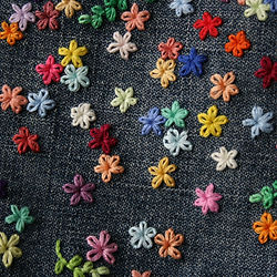 Embroidered Denim with Flowers