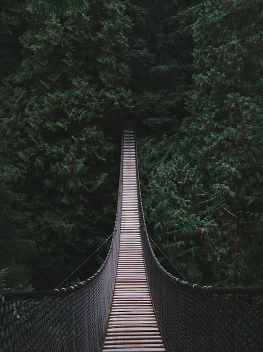 Image by Andre Amaral