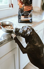 Tips to Prepare for Your Dog’s First Stay with a Sitter 1. Share All the Details Leave clear instructions about your dog’s ro