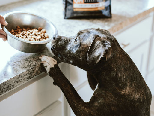 Προστατέψτε το σπίτι σας με απλές ενέργειες