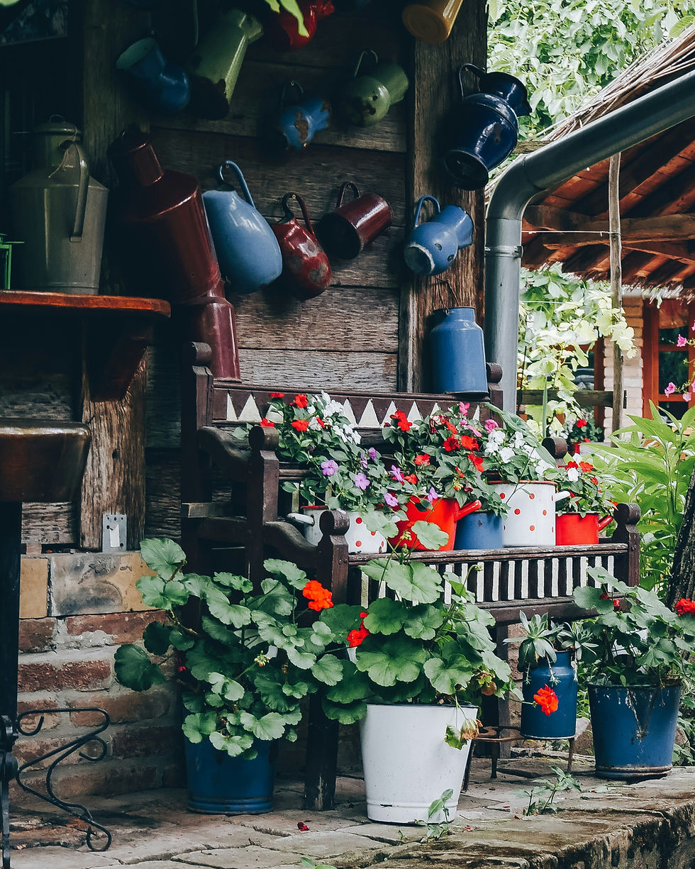 Don’t Let Summer Kill Your Garden with these Summer Gardening Tips: Real Fixes for Real People in Eastern NC
