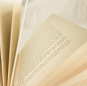 Image by Olga Tutunaru