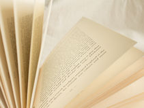 Natječaj za dodjelu Nagrade Antun Branko Šimić