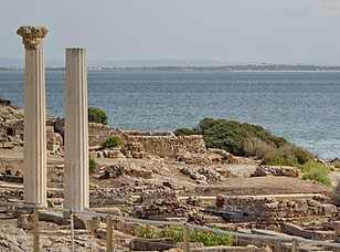 Image by Dušan veverkolog