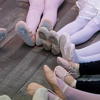 Image by Astrid Schaffner