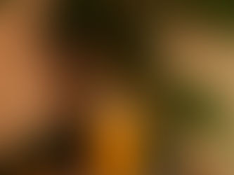 Calming warm minimalist New Year Decor