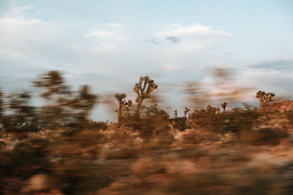 Image by Ryan James Christopher