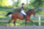 horseback riding with consistency and clear cues helps prevent spooking
