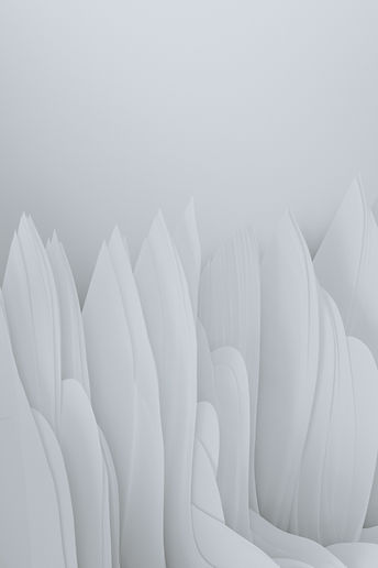 Image by Pawel Czerwinski