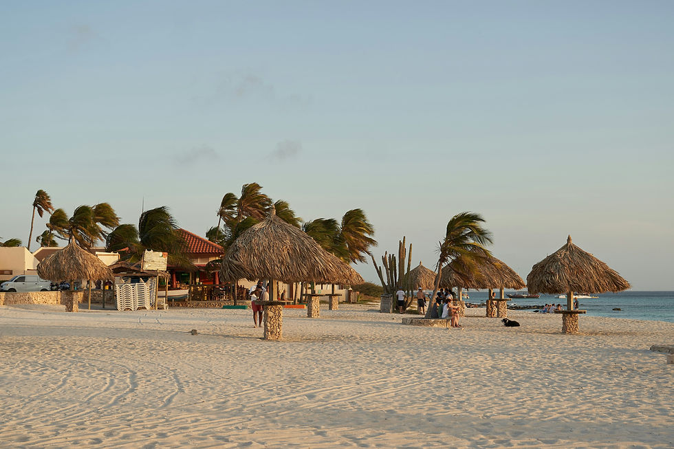 Beach scene with palm trees, thatched umbrellas, and people relaxing. The sky is clear and ocean is visible, creating a calm atmosphere. Arashi, Aruba.