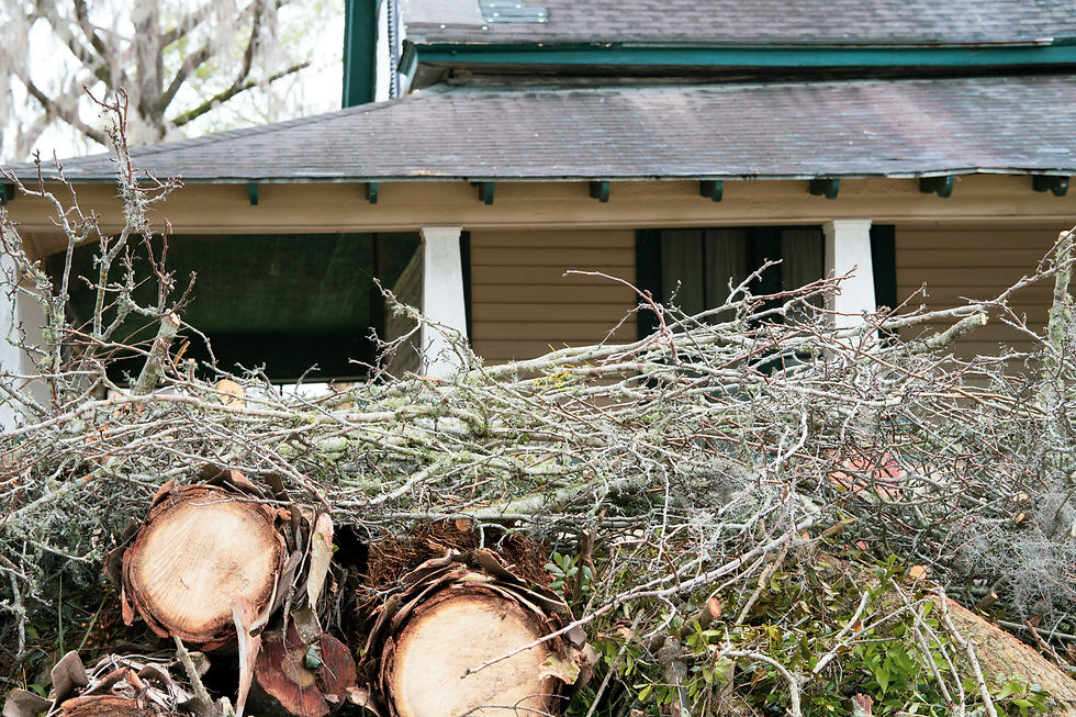 Pile of cut branches and logs in front of an old house with a sloped roof. Overcast sky and bare trees in the background.
