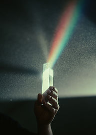 Image by Braxton Apana