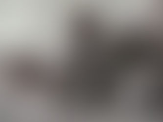 Gato British Shorthair