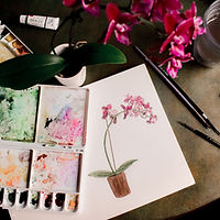 Image by Sarah Brown