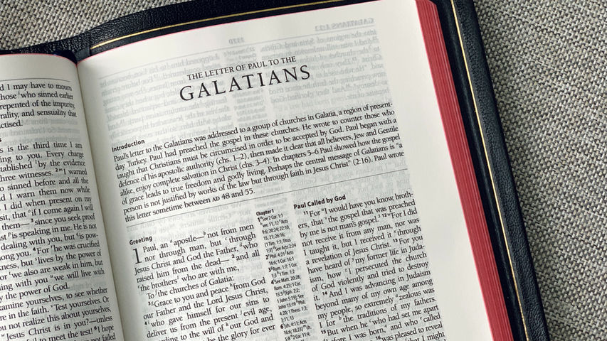 Bible, Bible study for men