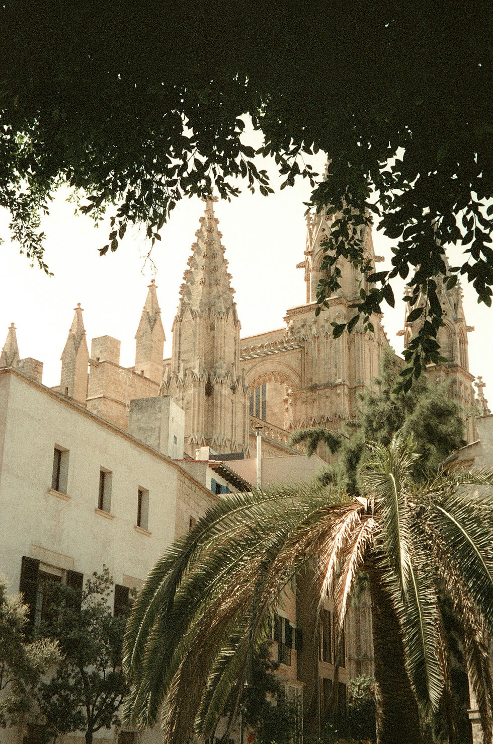 Image by Emily Barnett