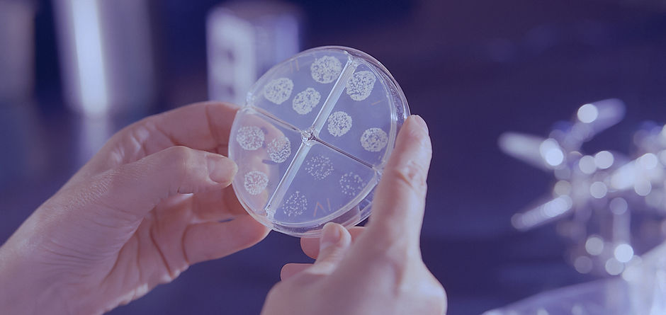 Image by CDC