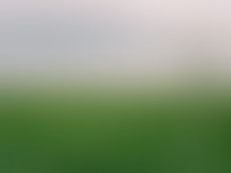 Em meio à escassez de crédito no campo, fintech dobra a oferta dos recursos