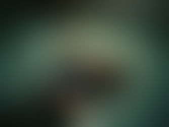 Organic Carpet Cleaning Greenbrook