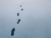 Whose Footsteps Are You Walking