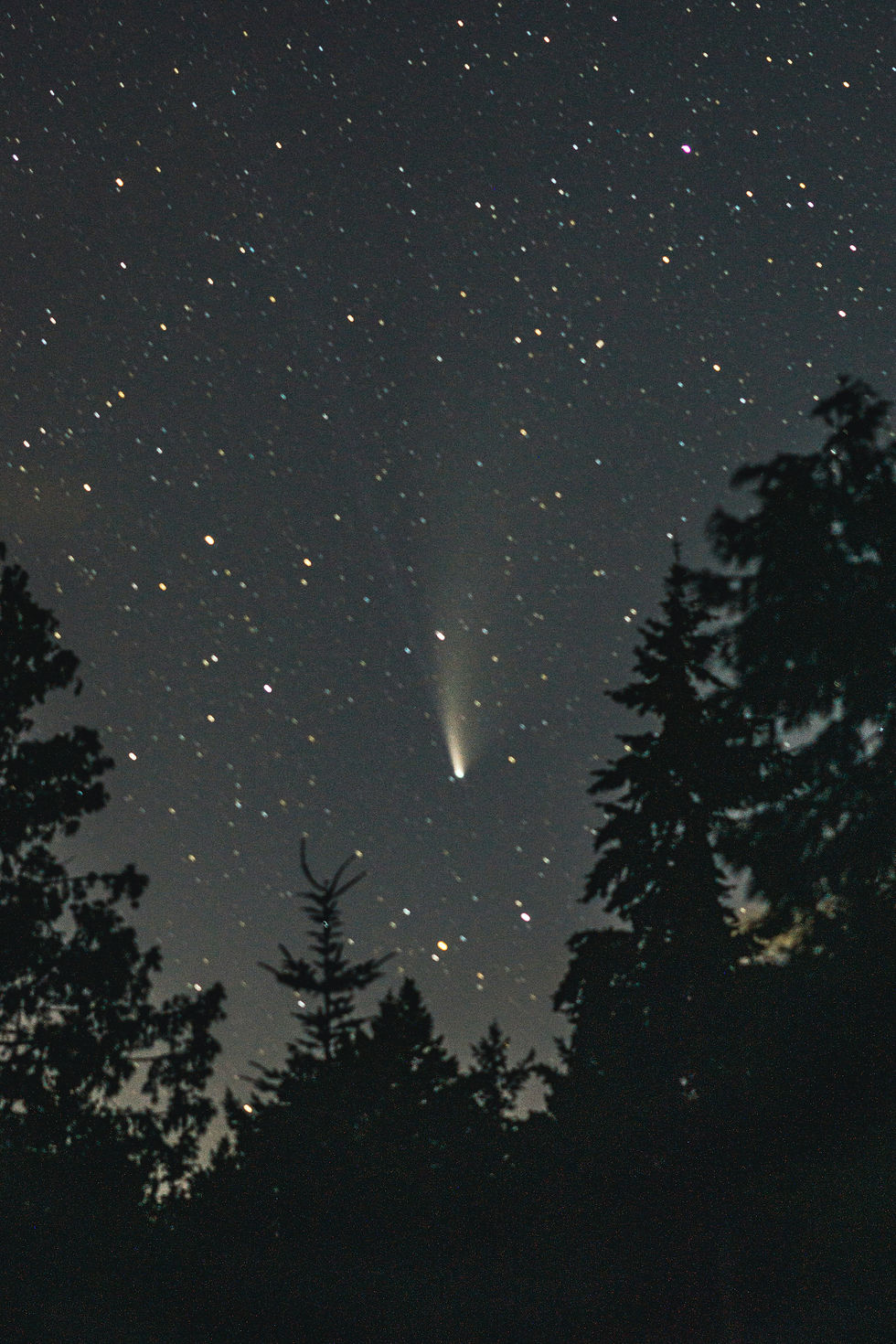 A comet streaking across the night sky