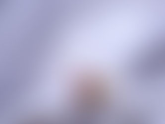 January & February Newsletter 