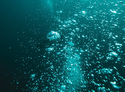 Image by Angus Gray